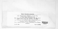 Image Associated With the Occurence